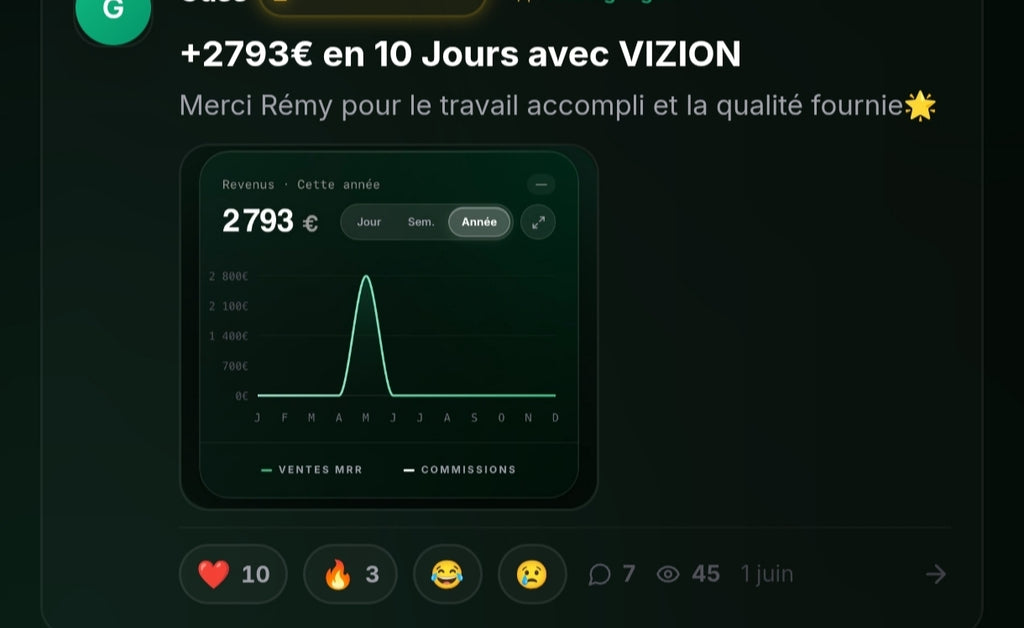 Présentation de la Formation VIZION