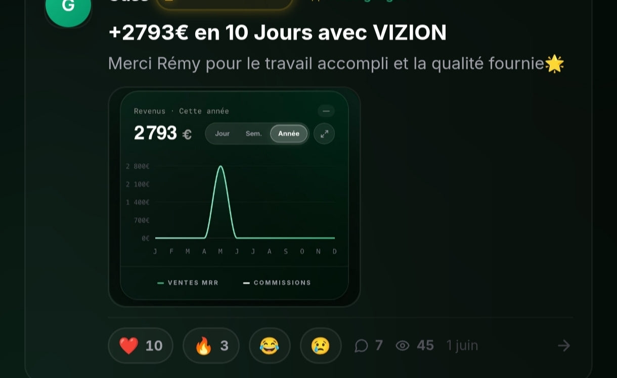 Présentation de la Formation VIZION